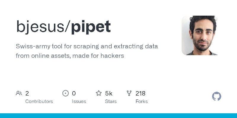 GitHub - bjesus/pipet: Swiss-army tool for scraping and extracting data from online assets, made for hackers